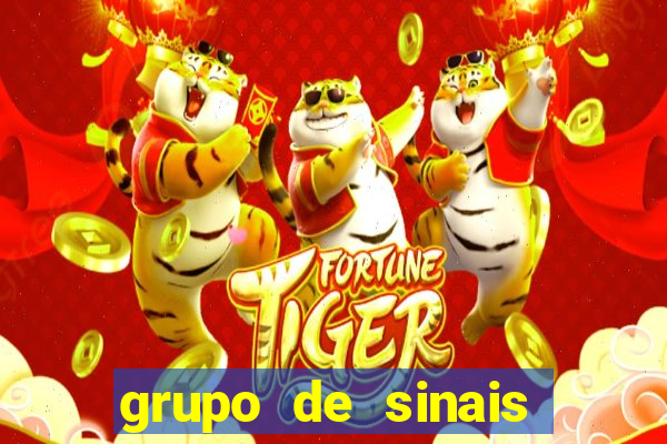 grupo de sinais fortune rabbit
